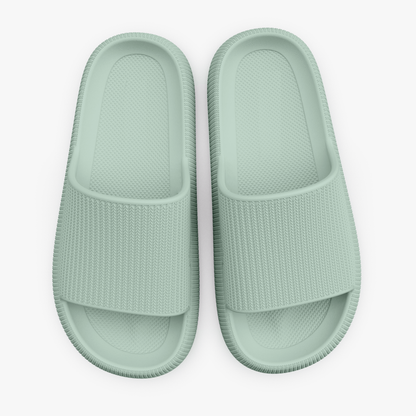 Loofia™ - Originals